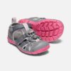 steel grey/rapture rose