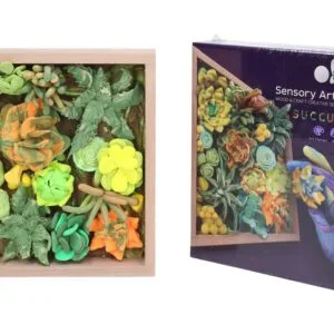 OKTO Energy Výtvarná modelovací sada sukulenty v dřevěném rámu 21x21 cm