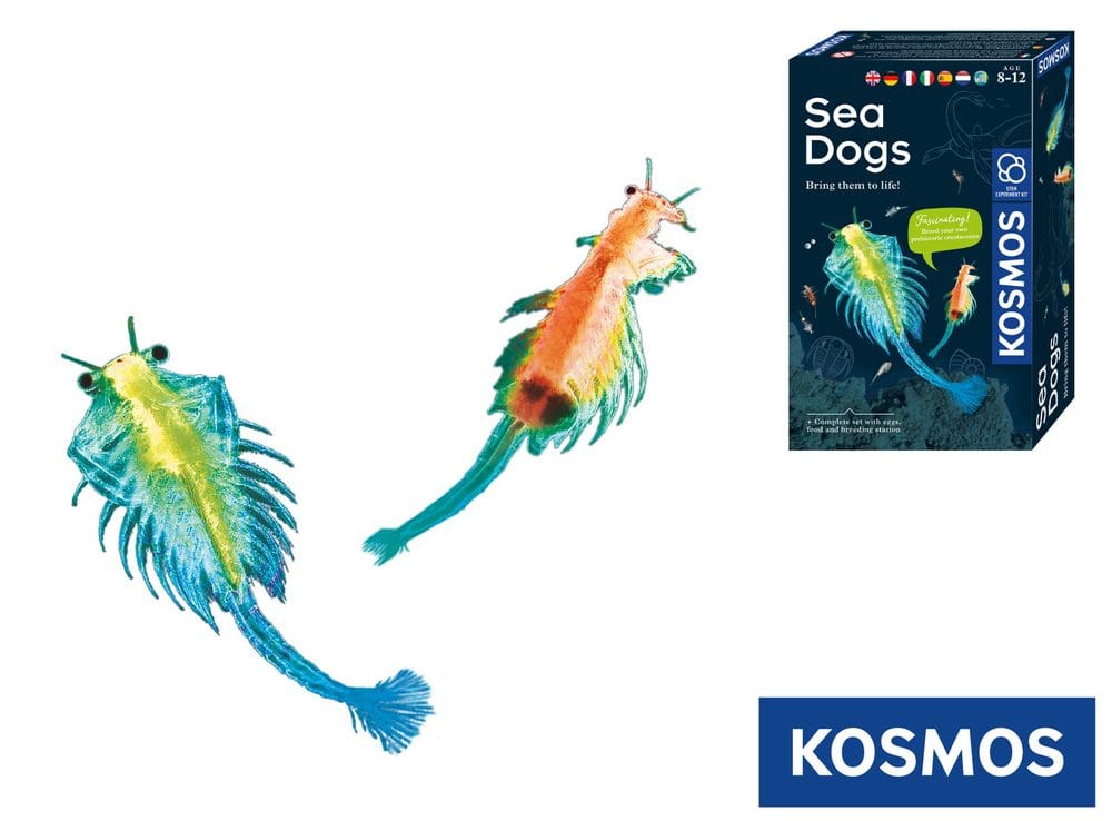 KOSMOS Vodní mazlíček žábronožka