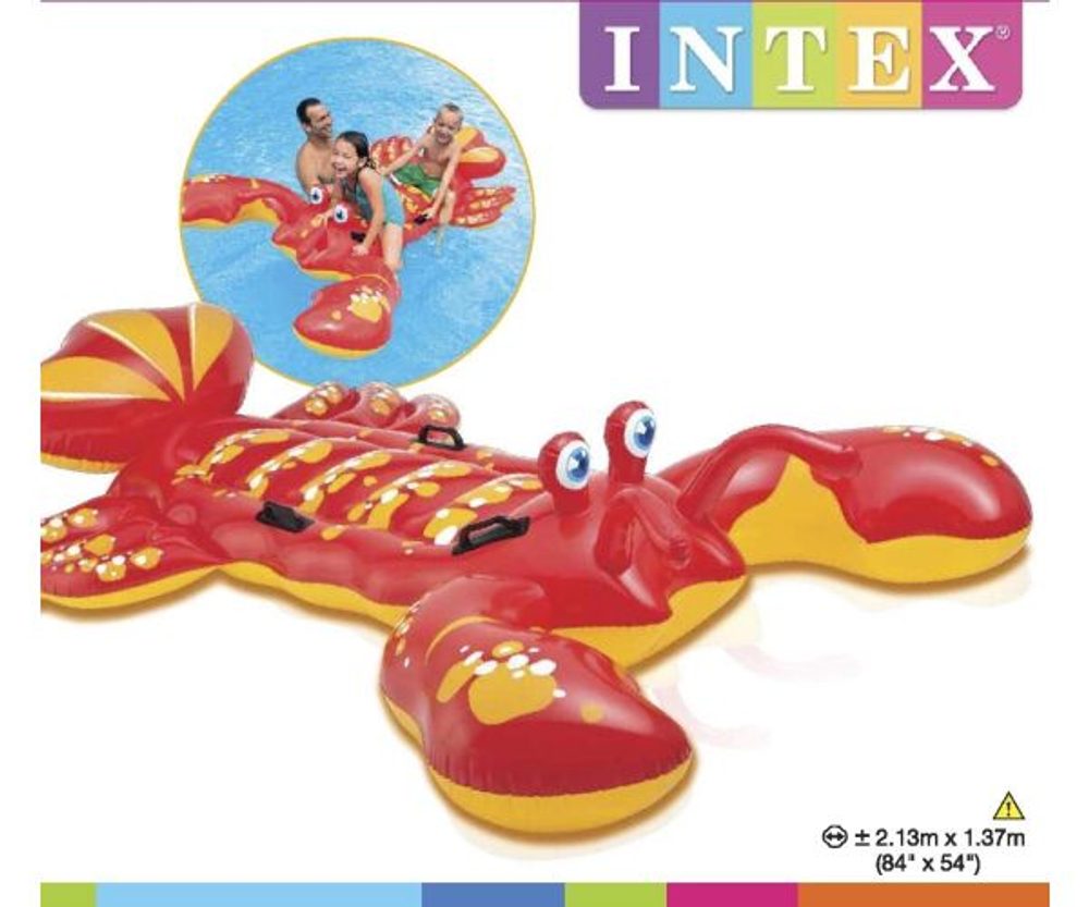 INTEX